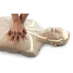 CPR TRAINING MANIKIN-BRYDEN