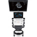 P25 Colour Doppler Ultrasound System